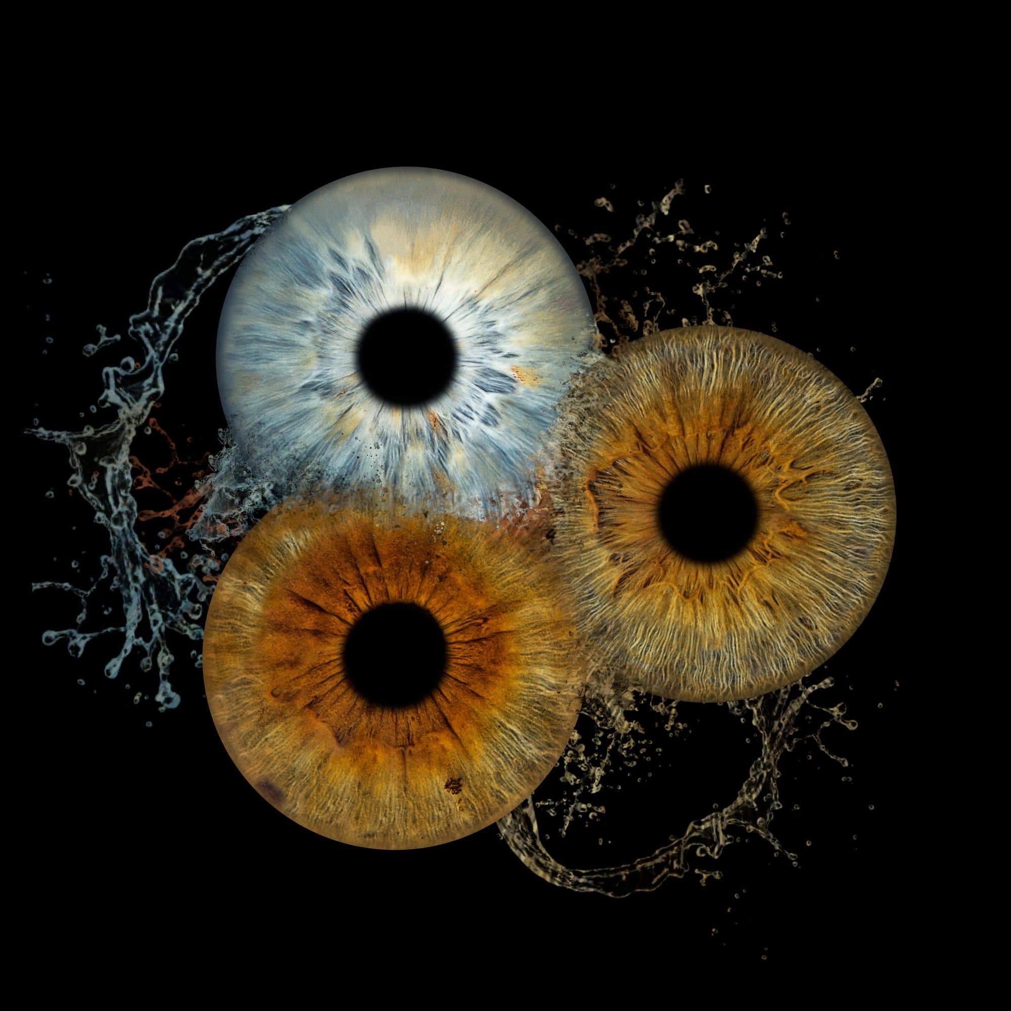 Portrait d'iris – composition aquatique