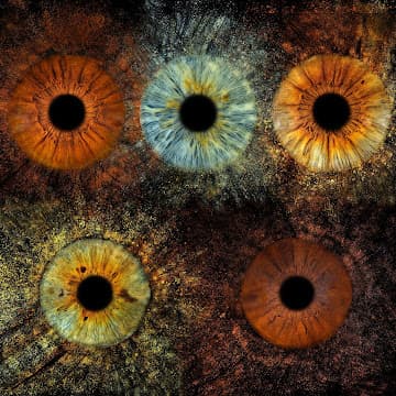 Cinq portraits d'iris – compositions