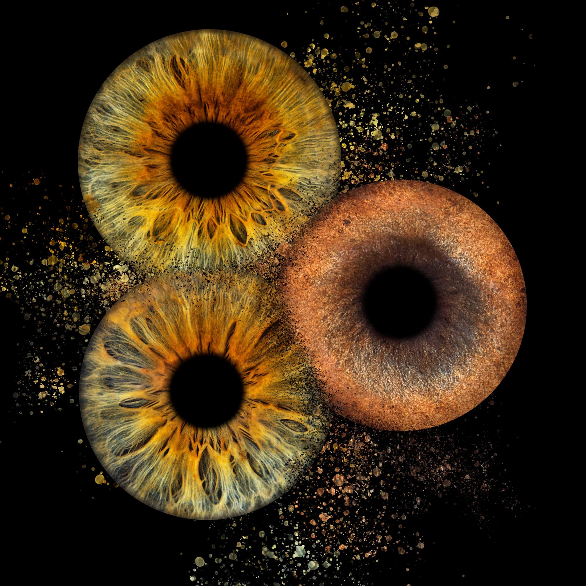 Portrait d'iris – explosion dorée