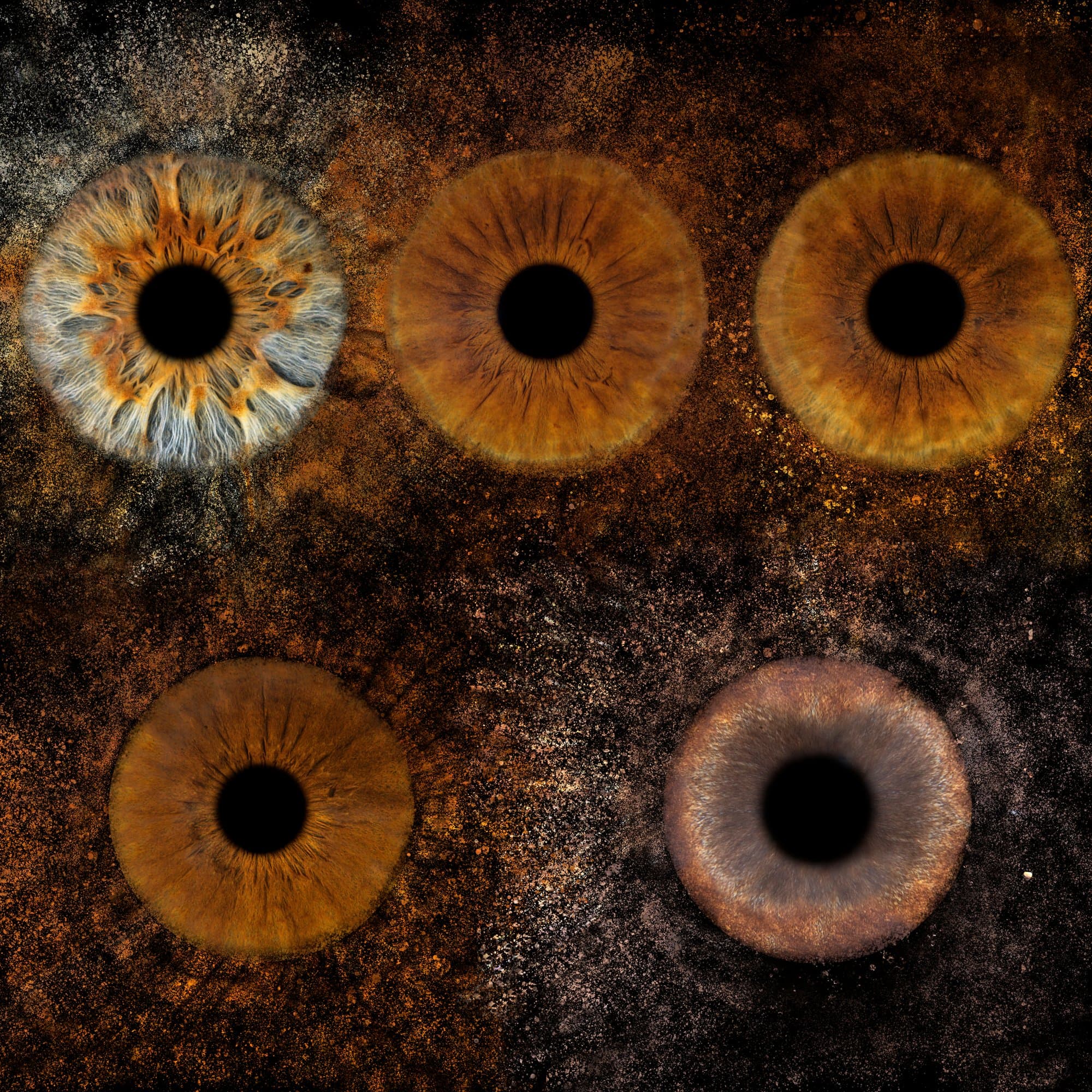 Cinq portraits d'iris – motifs cosmiques